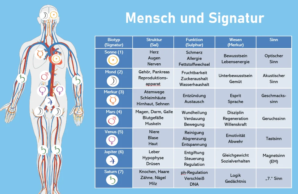 Übersicht Mensch und Signatur