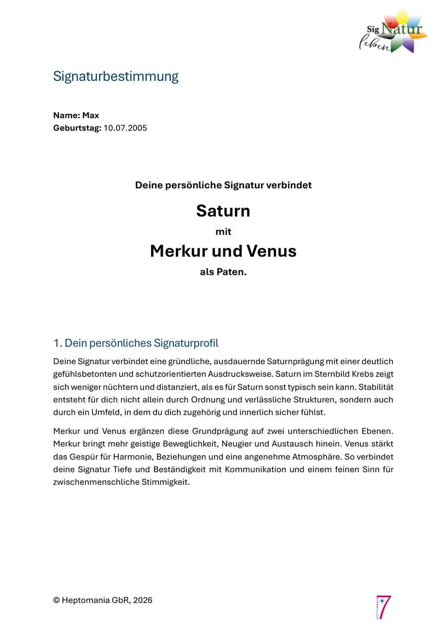 Vorschau der neuen sechsseitigen Musteranalyse zur Signaturbestimmung
